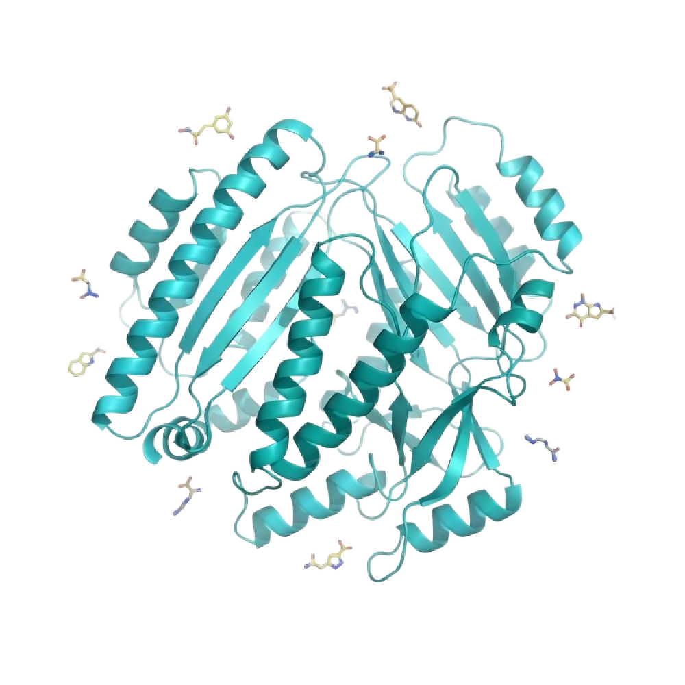 Ribbon Visualization